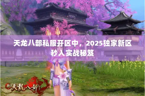 天龙八部私服开区中,2025独家新区秒入实战秘笈 天龙八部私服开区中,2025独家新区秒入实战秘笈