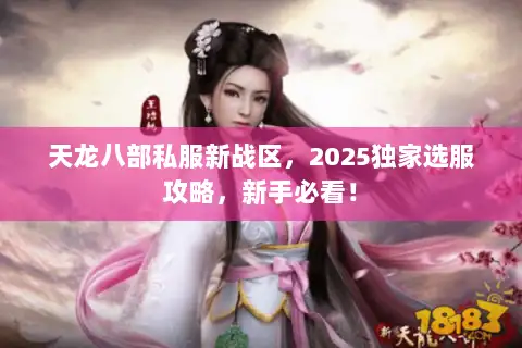 天龙八部私服新战区，2025独家选服攻略，新手必看！