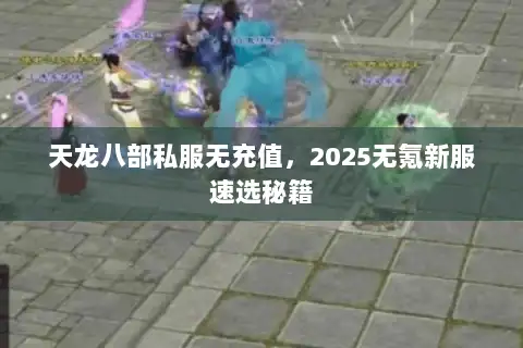 天龙八部私服无充值，2025无氪新服速选秘籍