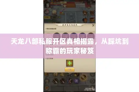 天龙八部私服开区真相揭露，从踩坑到称霸的玩家秘笈
