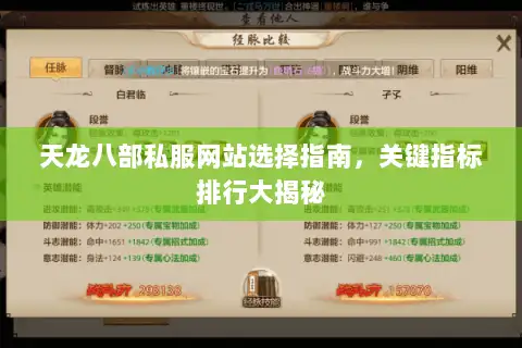 天龙八部私服网站选择指南，关键指标排行大揭秘