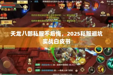 天龙八部私服不后悔，2025私服避坑实战白皮书