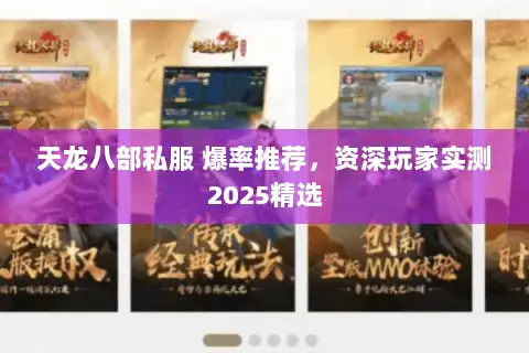 天龙八部私服 爆率推荐，资深玩家实测2025精选