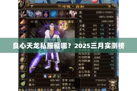 良心天龙私服藏哪？2025三月实测榜