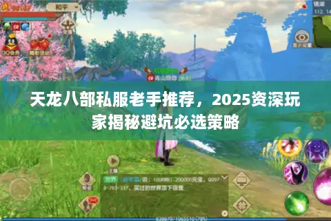 天龙八部私服老手推荐，2025资深玩家揭秘避坑必选策略