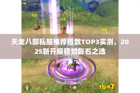 天龙八部私服推荐指数TOP3实测,2025新开服稳如磐石之选 天龙八部私服推荐指数TOP3实测,2025新开服稳如磐石之选