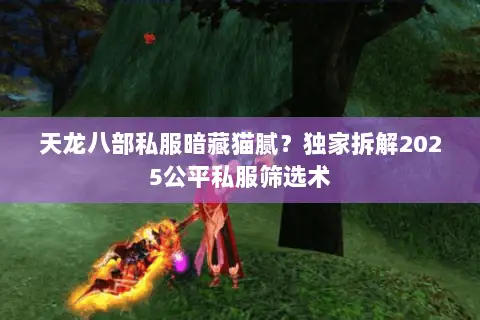 天龙八部私服暗藏猫腻？独家拆解2025公平私服筛选术
