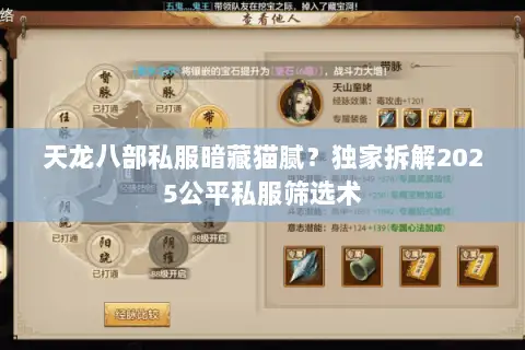 天龙八部私服暗藏猫腻？独家拆解2025公平私服筛选术