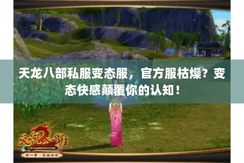 天龙八部私服变态服，官方服枯燥？变态快感颠覆你的认知！