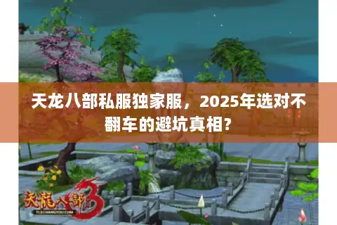 天龙八部私服独家服，2025年选对不翻车的避坑真相？