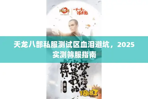 天龙八部私服测试区血泪避坑，2025实测筛服指南