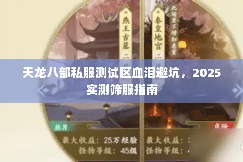 天龙八部私服测试区血泪避坑，2025实测筛服指南