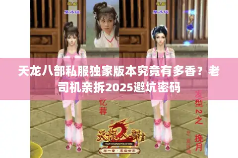 天龙八部私服独家版本究竟有多香？老司机亲拆2025避坑密码