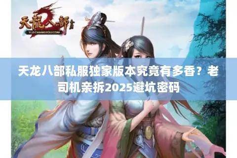 天龙八部私服独家版本究竟有多香？老司机亲拆2025避坑密码