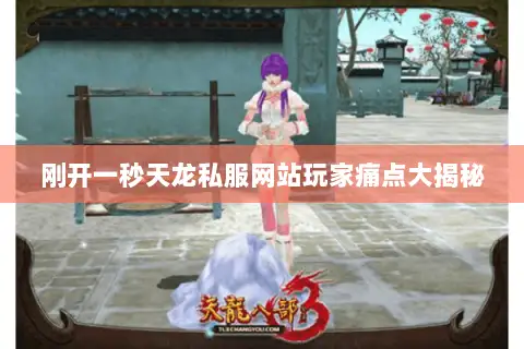 刚开一秒天龙私服网站玩家痛点大揭秘