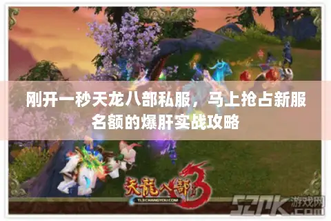 刚开一秒天龙八部私服，马上抢占新服名额的爆肝实战攻略