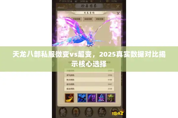 天龙八部私服微变vs超变，2025真实数据对比揭示核心选择
