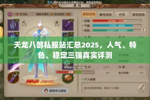 天龙八部私服站汇总2025，人气、特色、稳定三强真实评测