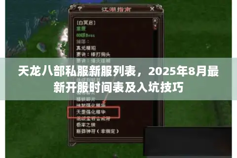 天龙八部私服新服列表，2025年8月最新开服时间表及入坑技巧