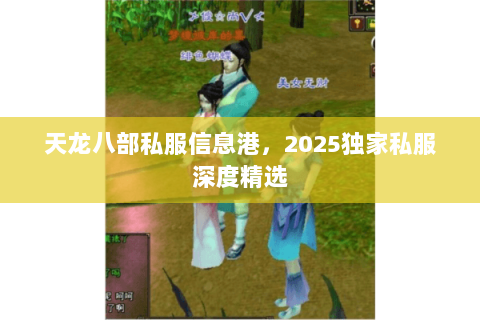 天龙八部私服信息港,2025独家私服深度精选 天龙八部私服信息港,2025独家私服深度精选