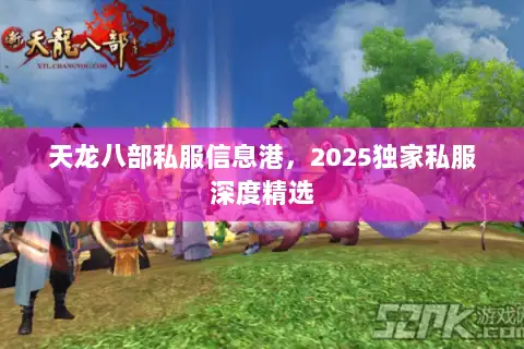 天龙八部私服信息港,2025独家私服深度精选 天龙八部私服信息港,2025独家私服深度精选