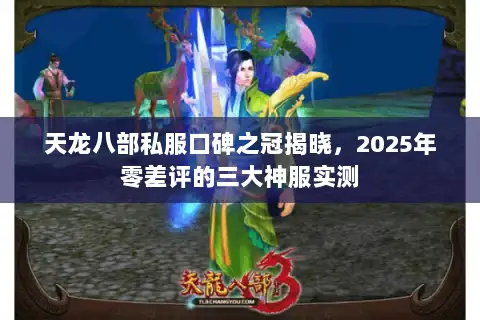 天龙八部私服口碑之冠揭晓,2025年零差评的三大神服实测 天龙八部私服口碑之冠揭晓,2025年零差评的三大神服实测