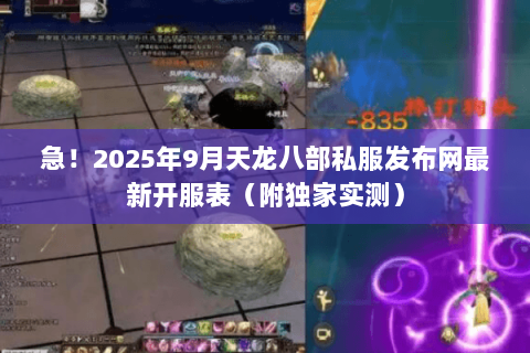 急！2025年9月天龙八部私服发布网最新开服表（附独家实测）