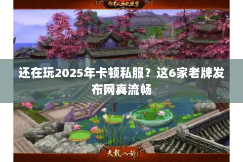 还在玩2025年卡顿私服？这6家老牌发布网真流畅