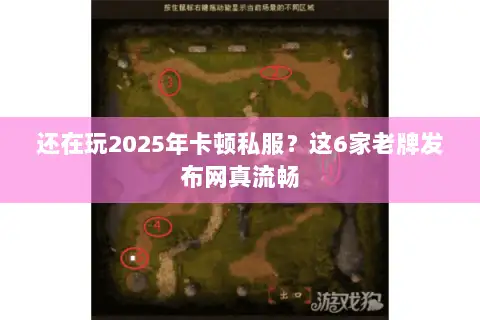 还在玩2025年卡顿私服？这6家老牌发布网真流畅