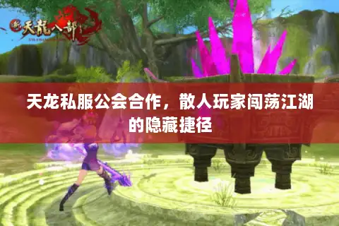 天龙私服公会合作，散人玩家闯荡江湖的隐藏捷径