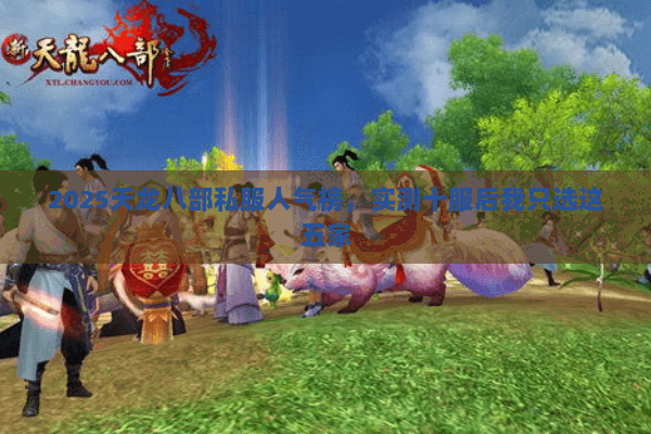 2025天龙八部私服人气榜，实测十服后我只选这五家