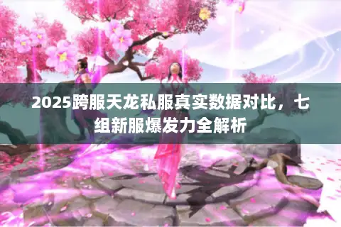 2025跨服天龙私服真实数据对比，七组新服爆发力全解析