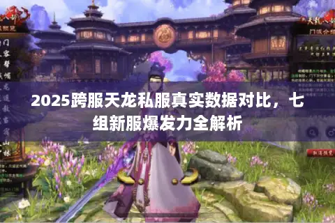 2025跨服天龙私服真实数据对比，七组新服爆发力全解析