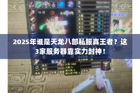 2025年谁是天龙八部私服真王者？这3家服务器靠实力封神！
