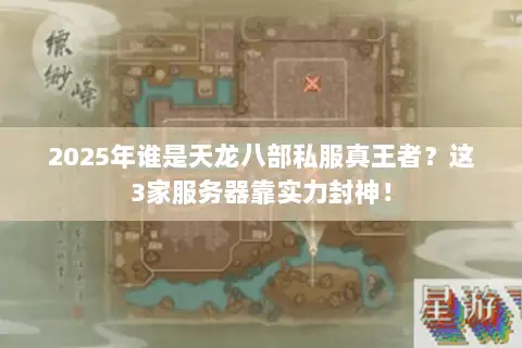 2025年谁是天龙八部私服真王者？这3家服务器靠实力封神！