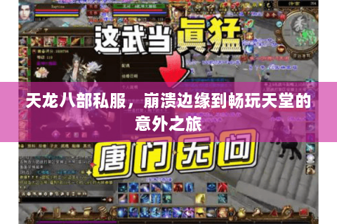 天龙八部私服,崩溃边缘到畅玩天堂的意外之旅 天龙八部私服,崩溃边缘到畅玩天堂的意外之旅