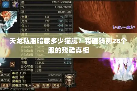 天龙私服暗藏多少猫腻?我砸钱测28个服的残酷真相 天龙私服暗藏多少猫腻?我砸钱测28个服的残酷真相