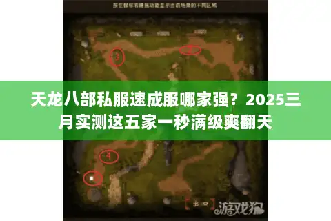 天龙八部私服速成服哪家强？2025三月实测这五家一秒满级爽翻天
