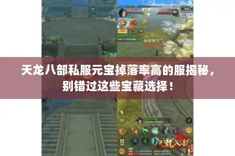 天龙八部私服元宝掉落率高的服揭秘，别错过这些宝藏选择！