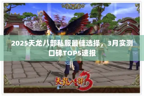 2025天龙八部私服最佳选择,3月实测口碑TOP5速报 2025天龙八部私服最佳选择,3月实测口碑TOP5速报