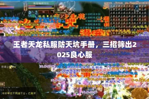 王者天龙私服防天坑手册，三招筛出2025良心服