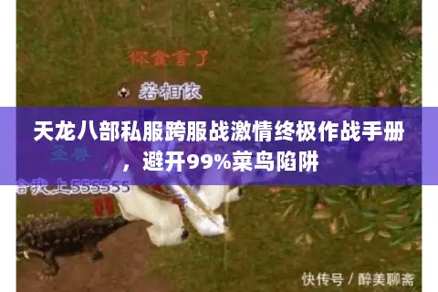 天龙八部私服跨服战激情终极作战手册,避开99%菜鸟陷阱 天龙八部私服跨服战激情终极作战手册,避开99%菜鸟陷阱