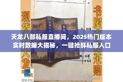 天龙八部私服直播间，2025热门版本实时数据大揭秘，一键抢鲜私服入口