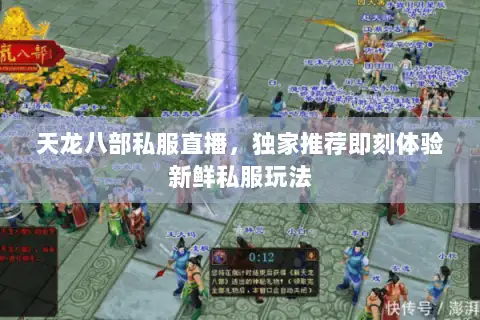 天龙八部私服直播,独家推荐即刻体验新鲜私服玩法 天龙八部私服直播,独家推荐即刻体验新鲜私服玩法