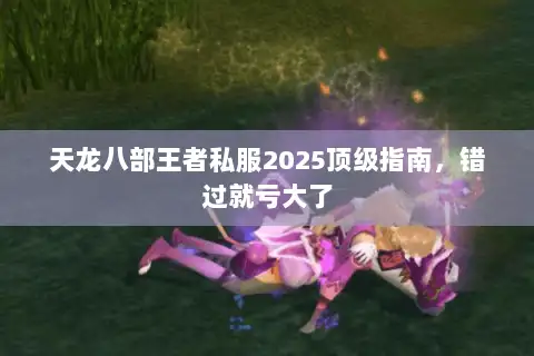 天龙八部王者私服2025顶级指南，错过就亏大了