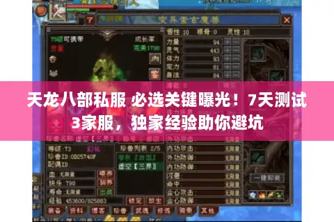 天龙八部私服 必选关键曝光！7天测试3家服，独家经验助你避坑