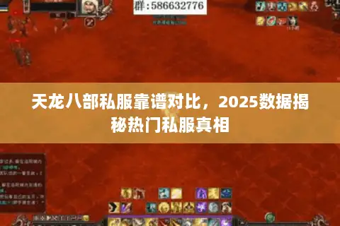 天龙八部私服靠谱对比，2025数据揭秘热门私服真相