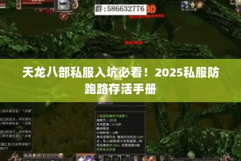 天龙八部私服入坑必看!2025私服防跑路存活手册 天龙八部私服入坑必看!2025私服防跑路存活手册