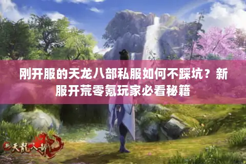 刚开服的天龙八部私服如何不踩坑?新服开荒零氪玩家必看秘籍 刚开服的天龙八部私服如何不踩坑?新服开荒零氪玩家必看秘籍