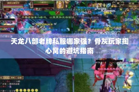 天龙八部老牌私服哪家强?骨灰玩家掏心窝的避坑指南 天龙八部老牌私服哪家强?骨灰玩家掏心窝的避坑指南